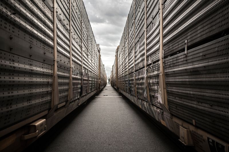 Exeter plans speculative buildings in Camp Hall